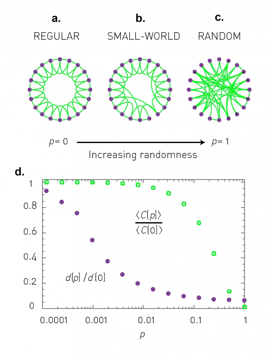 The Watts-Strogatz Model.