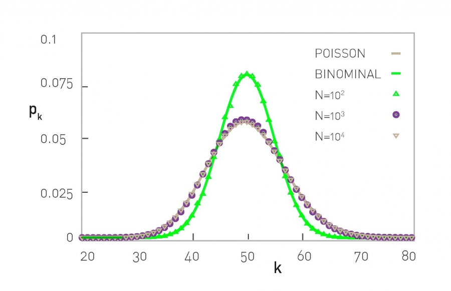 Degree Distribution is Independent of the Network Size.