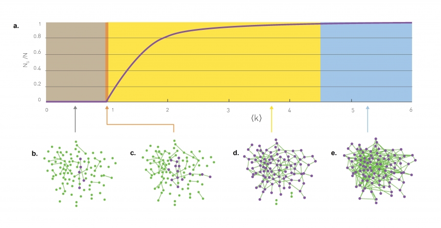 Evolution of a Random Network.