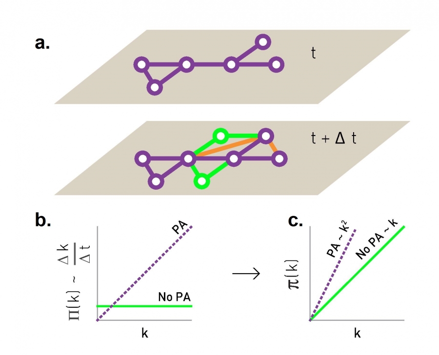 Detecting Preferential Attachment.