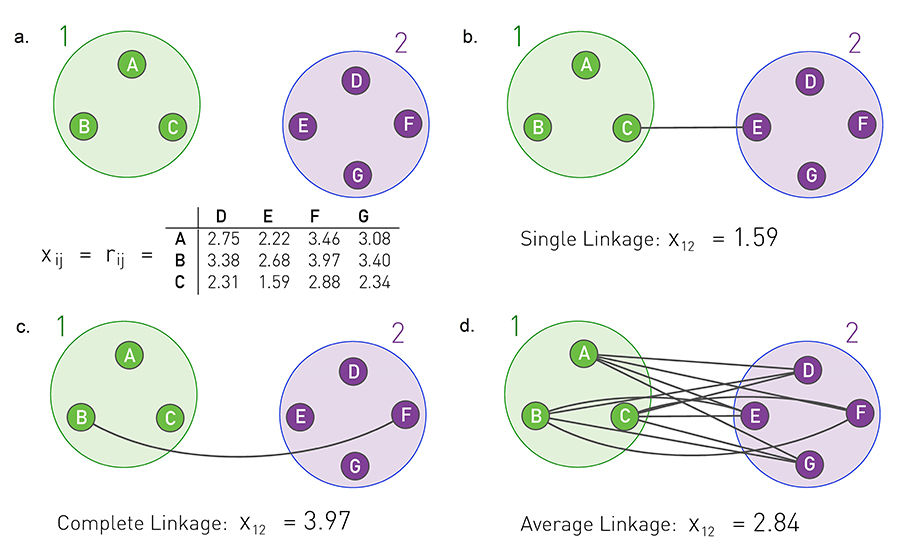 Cluster Similarity.
