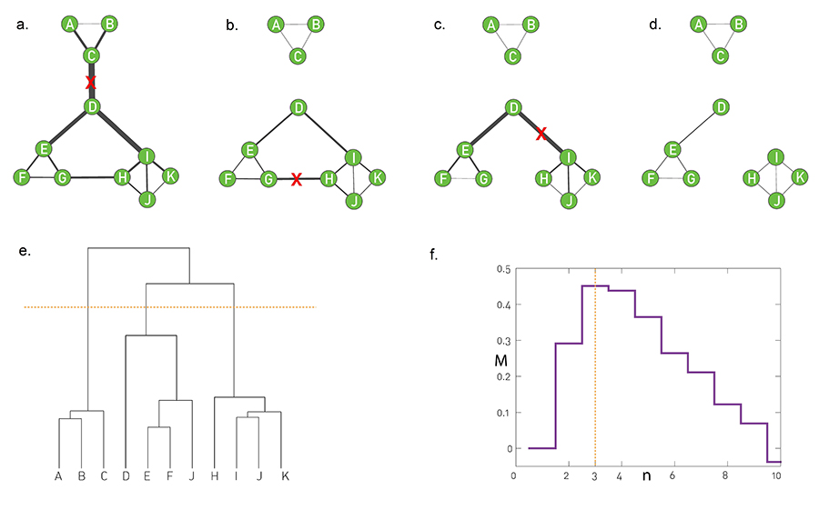 The Girvan-Newman Algorithm.