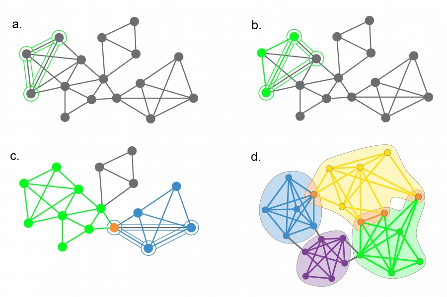 The Clique Percolation Algorithm (CFinder).