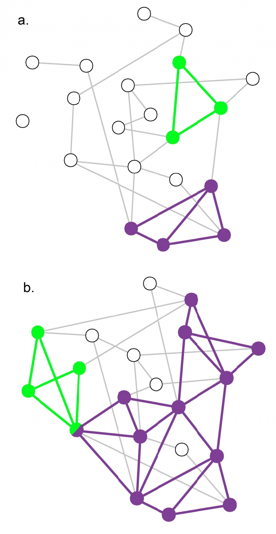 The Clique Percolation Algorithm (CFinder).