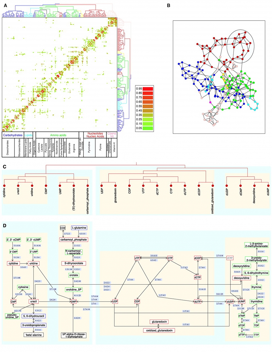 Communities in Metabolic Networks.