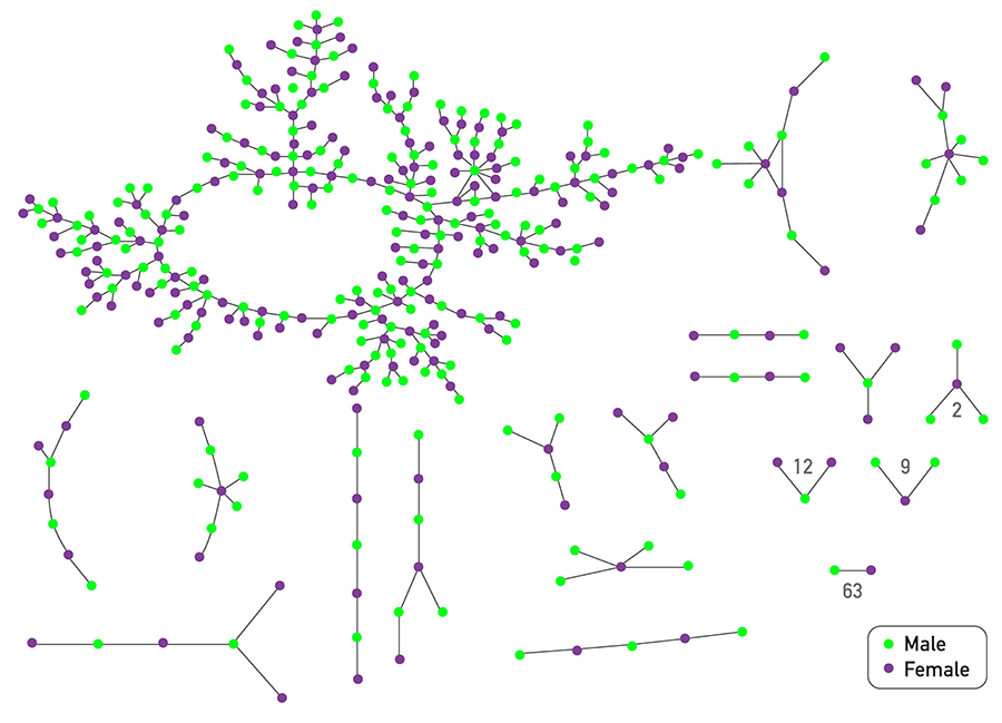 Romantic Links in a High School.