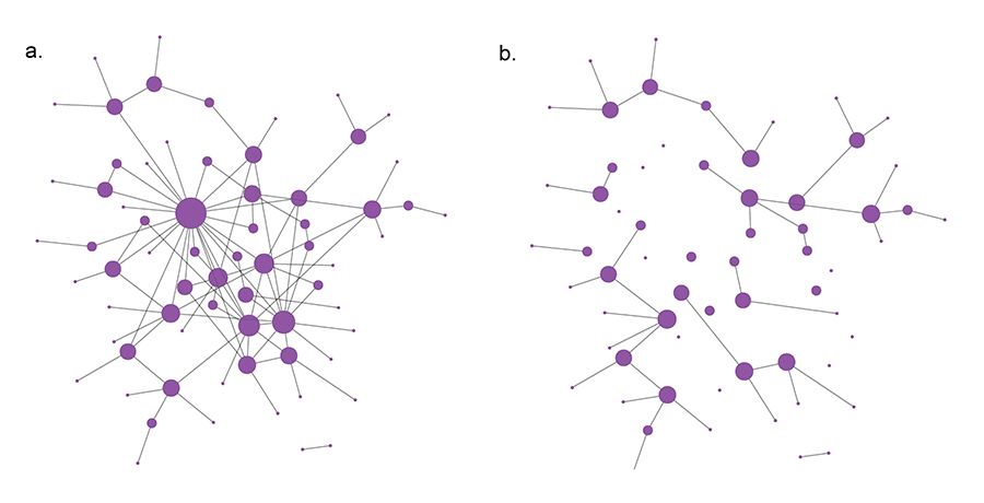 Robustness and Immunizations.