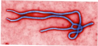 The Deadliest Outbreak.