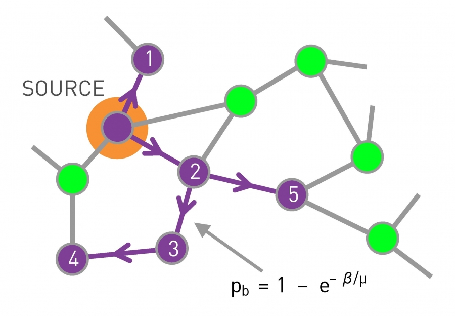 Mapping Epidemics into Percolation.