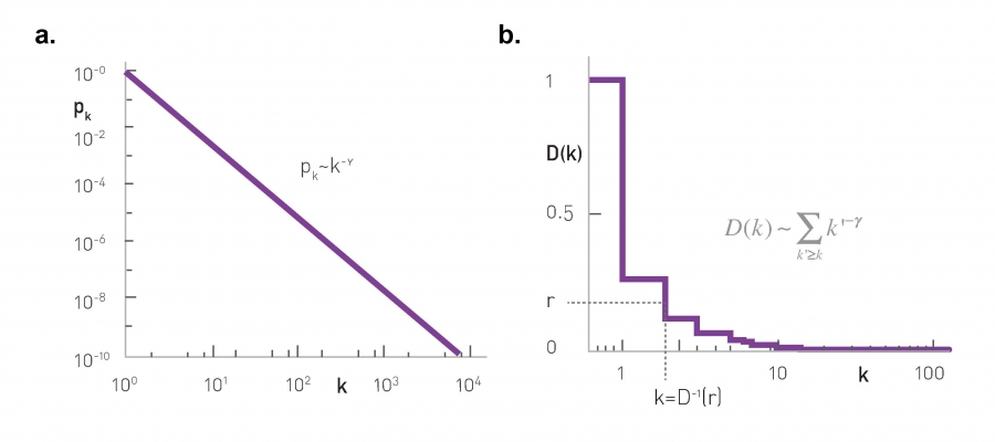Generating a Degree Sequence.