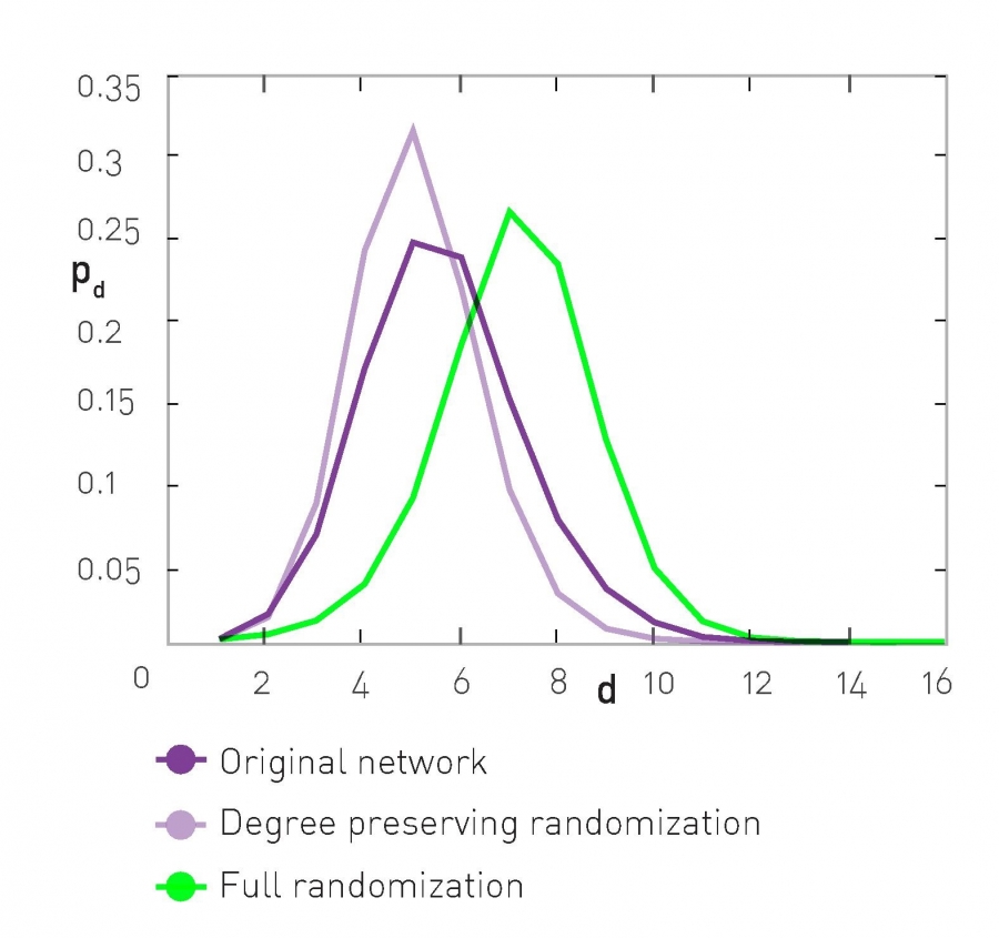 Randomizing Real Networks.