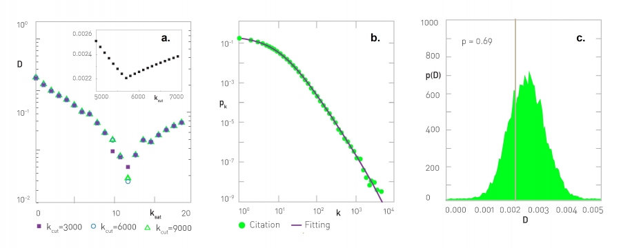 Estimating the Scaling Parameters for Citation Networks.